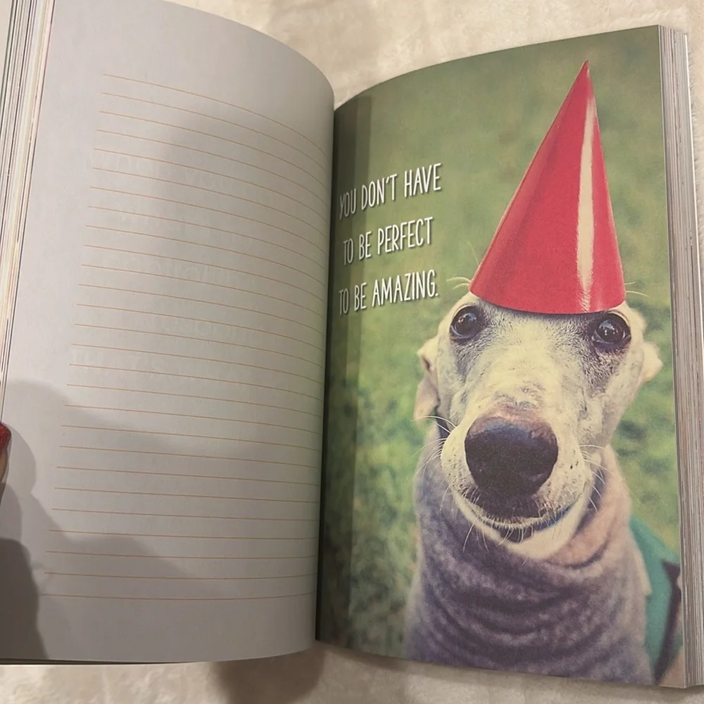 Journal You will never have this day again